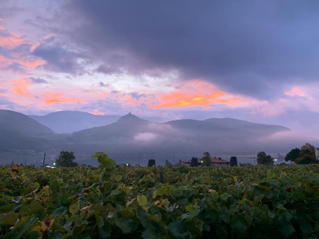 Leuchtenhof Caldaro sulla Strada del Vino Exterior foto